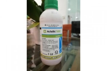 Thuốc diệt mọt nông sản Actellic® 50 EC